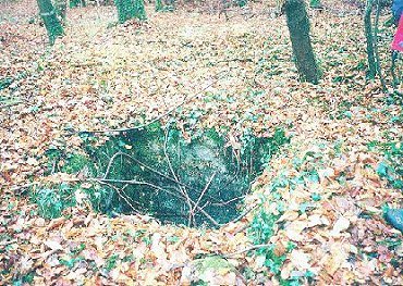 Caures01.JPG (61211 Byte)