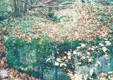 Caures02.JPG (63688 Byte)