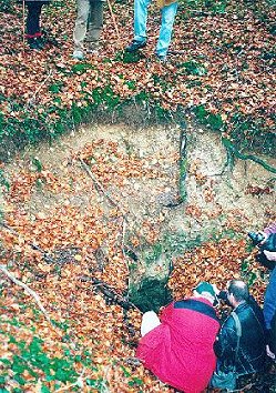 Caures03.JPG (57360 Byte)