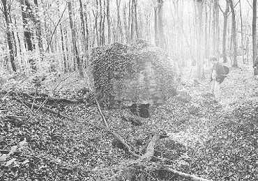 Herbebois03.JPG (51186 Byte)