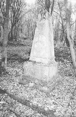 Herbebois05.JPG (49330 Byte)