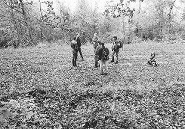 Herbebois07.JPG (56346 Byte)