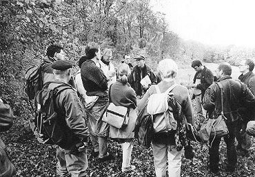 Herbebois09.JPG (46752 Byte)