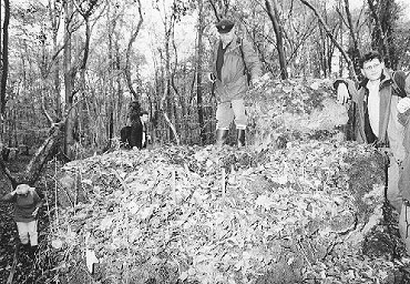 Herbebois11.jpg (90300 Byte)