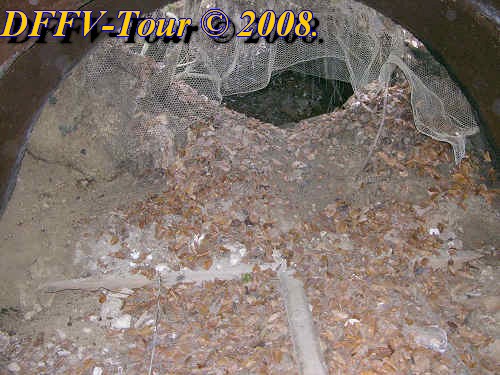 Herbetour2008tag3005.jpg (64285 Byte)