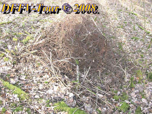 Herbetour2008tag3017.jpg (111406 Byte)