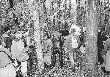 Lesrappes07.JPG (51870 Byte)