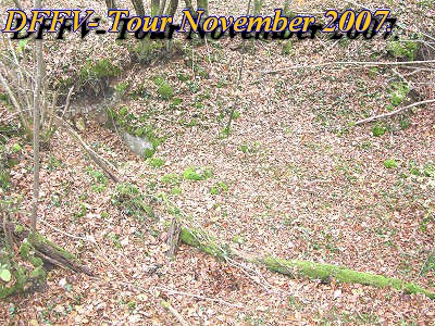 Novem2tag011.jpg (93379 Byte)