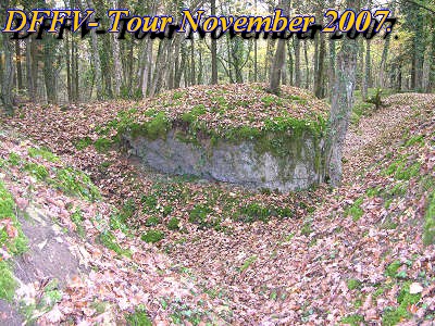 Novem2tag025.jpg (83601 Byte)