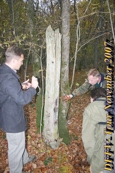 Novem2tag030quer.jpg (110253 Byte)