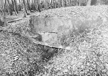 Wavrille02.JPG (53790 Byte)