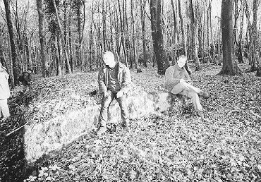 Wavrille07.jpg (56165 Byte)